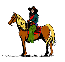 1domar caballo cowboys (1)