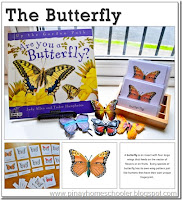 FREE Butterfly Definition and Nomenclature Cards