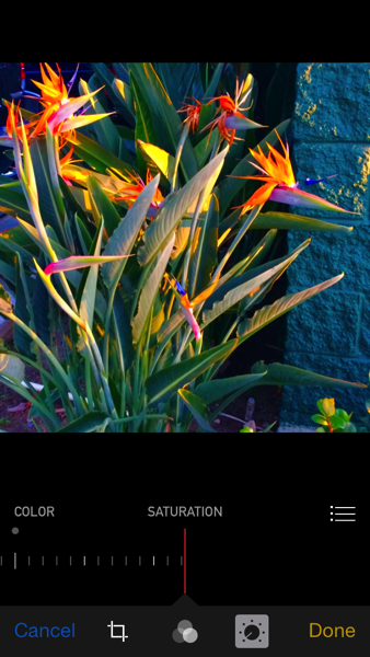 IMG_7948.PNG iOS 8 photos app full saturation