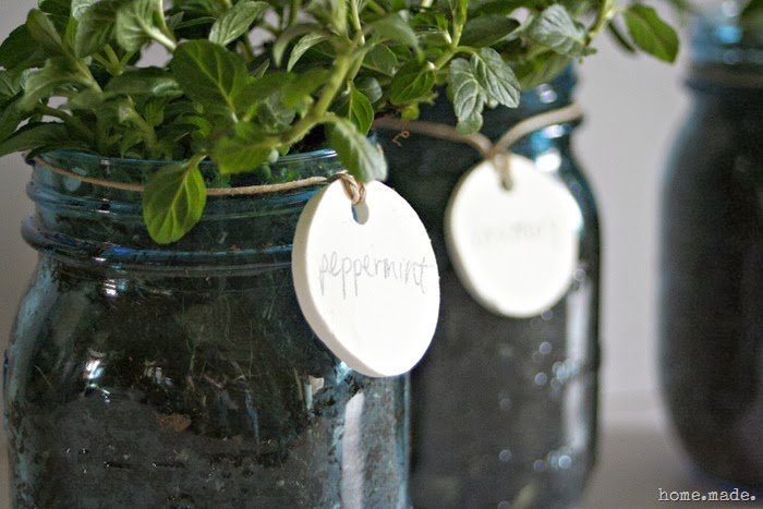 Mason Jar Herb Planter Closeup