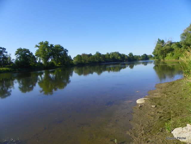 Loire rive droite aux Chambons à Marclopt photo #1223