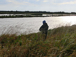 Skjern Au _ Oktober 2012 - 049