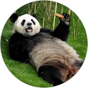 Hans Van de Weerd profielfoto