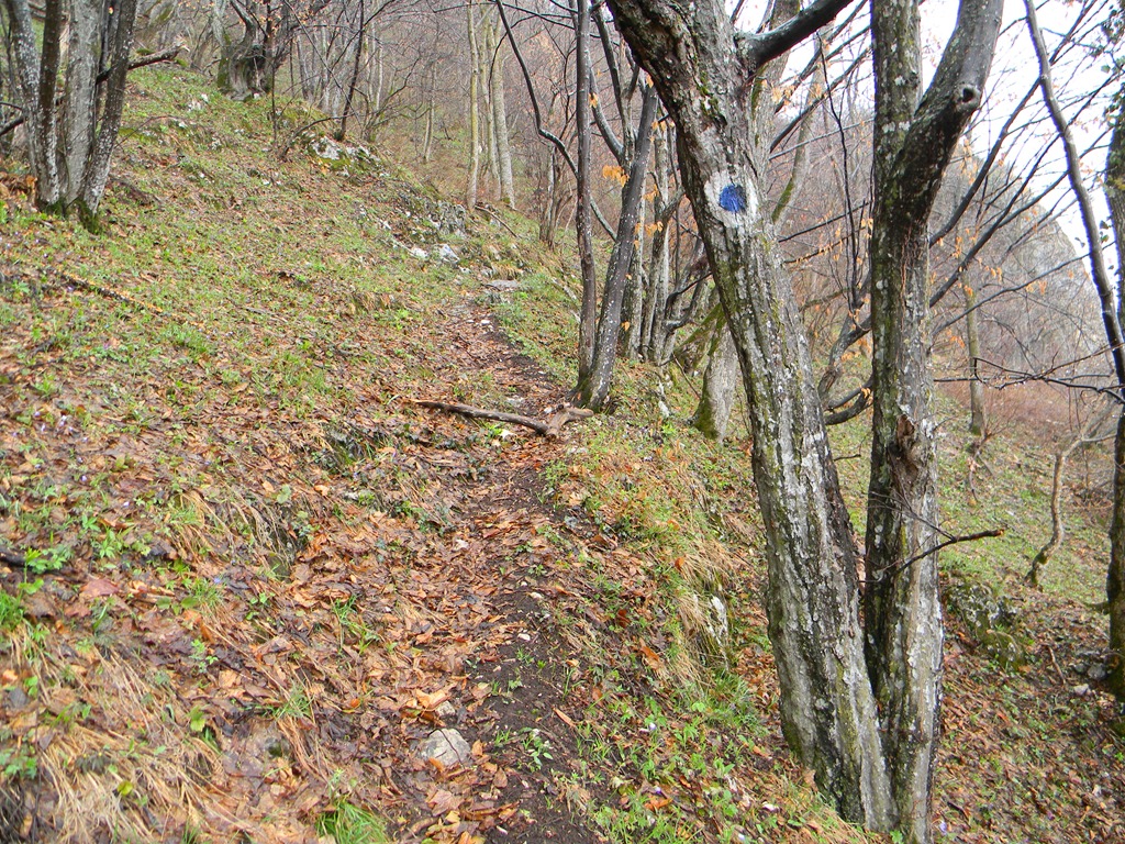 [DSCN78243.jpg]