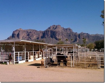 Stable in the shadow of Superstition