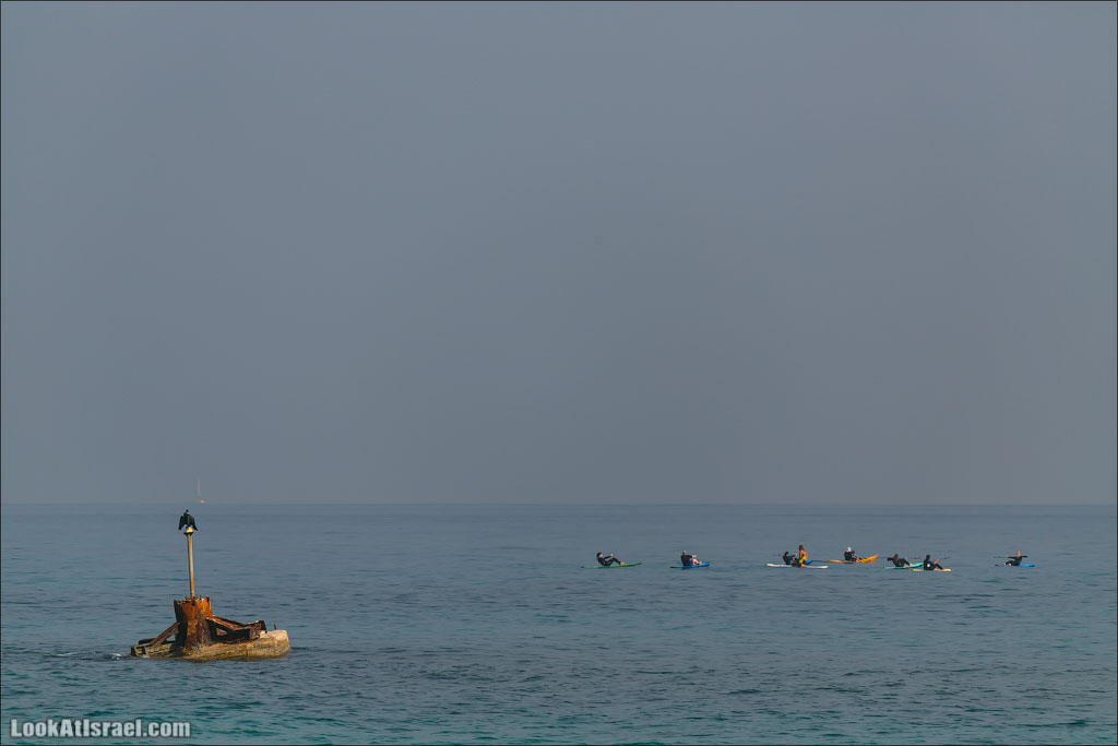 LookAtIsrael.com - Фото путешествия по Израилю | Занятия йогой в море в Тель Авиве | Yoga in Tel Aviv