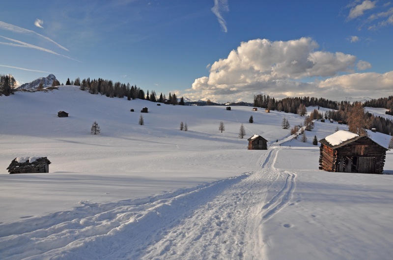 DSC_8157.JPG DSC 8157