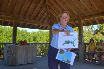we meet Carol as she is giving her alligator talk at Ding Darling