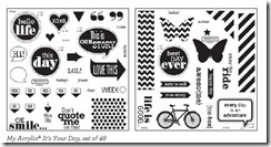 2012-9 NSM It's Your Day_stamp sets