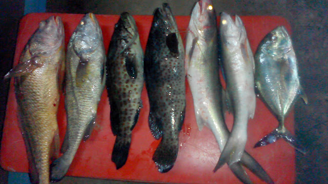 sungai Bintuka sungai Bintuka