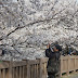 DA★ 16-50mm F2.8ED AL[IF]SDM