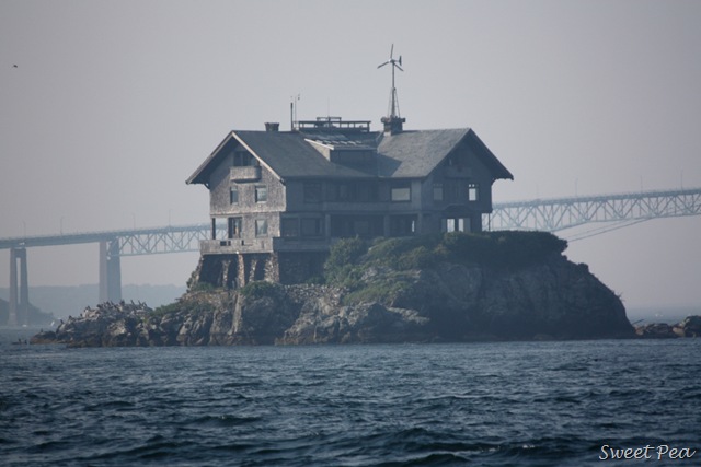 [D1Boat4%255B3%255D.jpg]