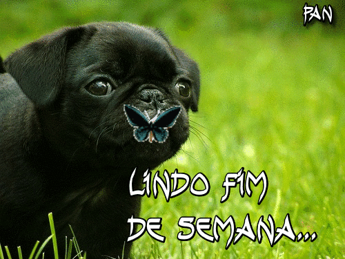 oie_m5x2THKIq3Zc.gif