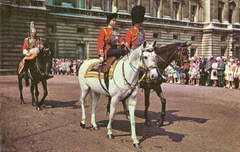 Trooping the Colour 1981