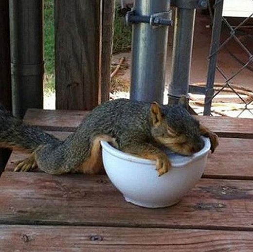 [20142505165848%255B4%255D.jpg]