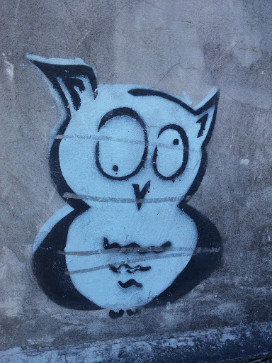 Crazy Owl Tag
