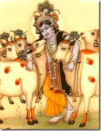 Krishna with cows