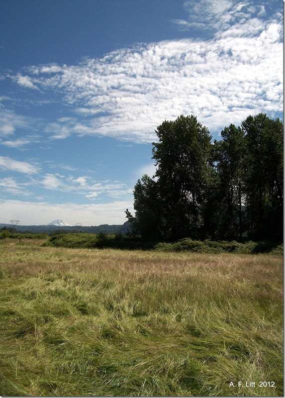 Thousand Acres. Photo of the Day, February 1, 2012. Sandy River Delta.  Troutdale, Oregon.  August 24, 2011.