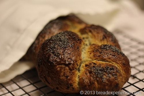 braided-poppy-seed-bread038