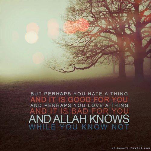 In Pursuit Of Islam: Allah knows best