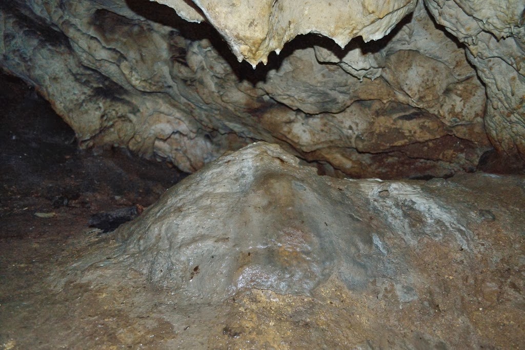[DSC_22023.jpg]
