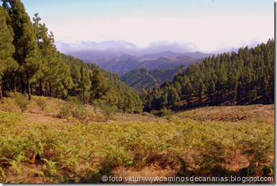 2996 C. de Tejeda-Lomo del Palo 2996 C. de Tejeda-Lomo del Palo