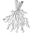 Easy Root Compatibility Test icon