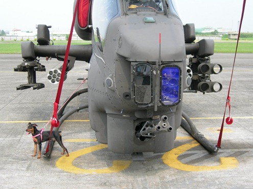 Super-Cobra-Helicopter-Gunship-Hi-Tech-Security-02