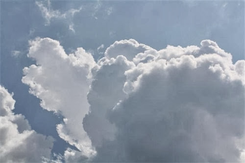 20090714 (1) (Small)