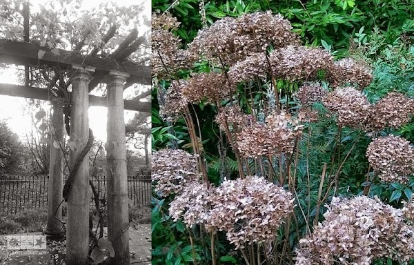 Hill Garden and Pergola5.jpg Hill Garden and Pergola5.jpg
