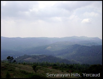 Servarayan Hills, Yercaud