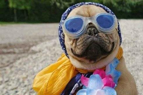 [04aff34c3614%255B3%255D.jpg]