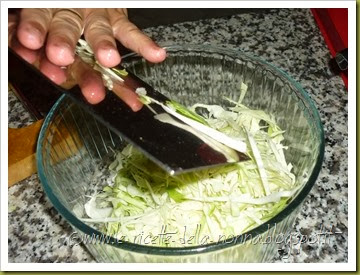 Cuscus integrale di farro con verdure miste al forno, insalata di cavolo cappuccio e fagioli neri piccanti (10)