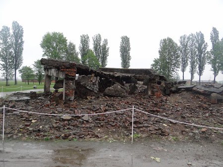 29. Birkenau.JPG