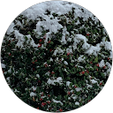 HauntedHouseGamings profile picture