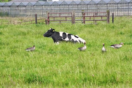 20090701 (1) (Small) 20090701 (1) (Small)