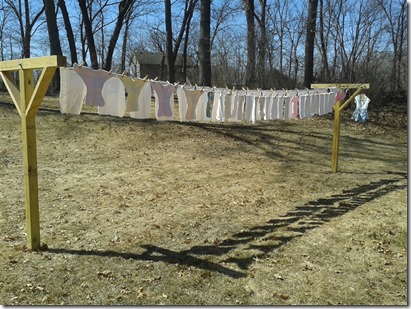 Homegrown Catholics: Nice Laundry Day
