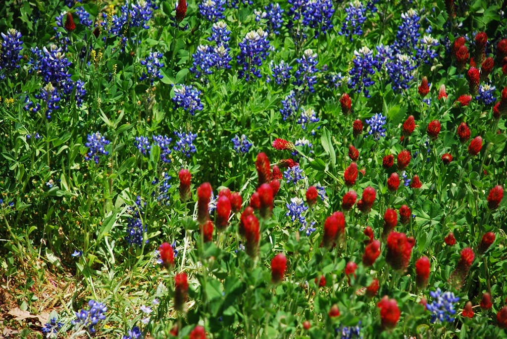 [DSC_3307%2520%25282%2529%255B5%255D.jpg]