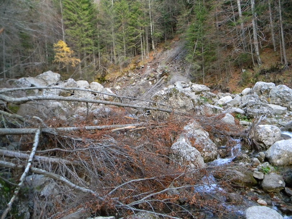 [DSCN74343.jpg]