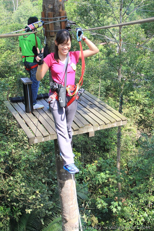 [SkyTrex-Tiny-String4.jpg.webp]