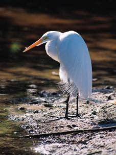 [clip_image002%255B3%255D.jpg]