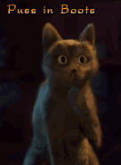 [puss-in-boots-cat1%255B4%255D.gif]
