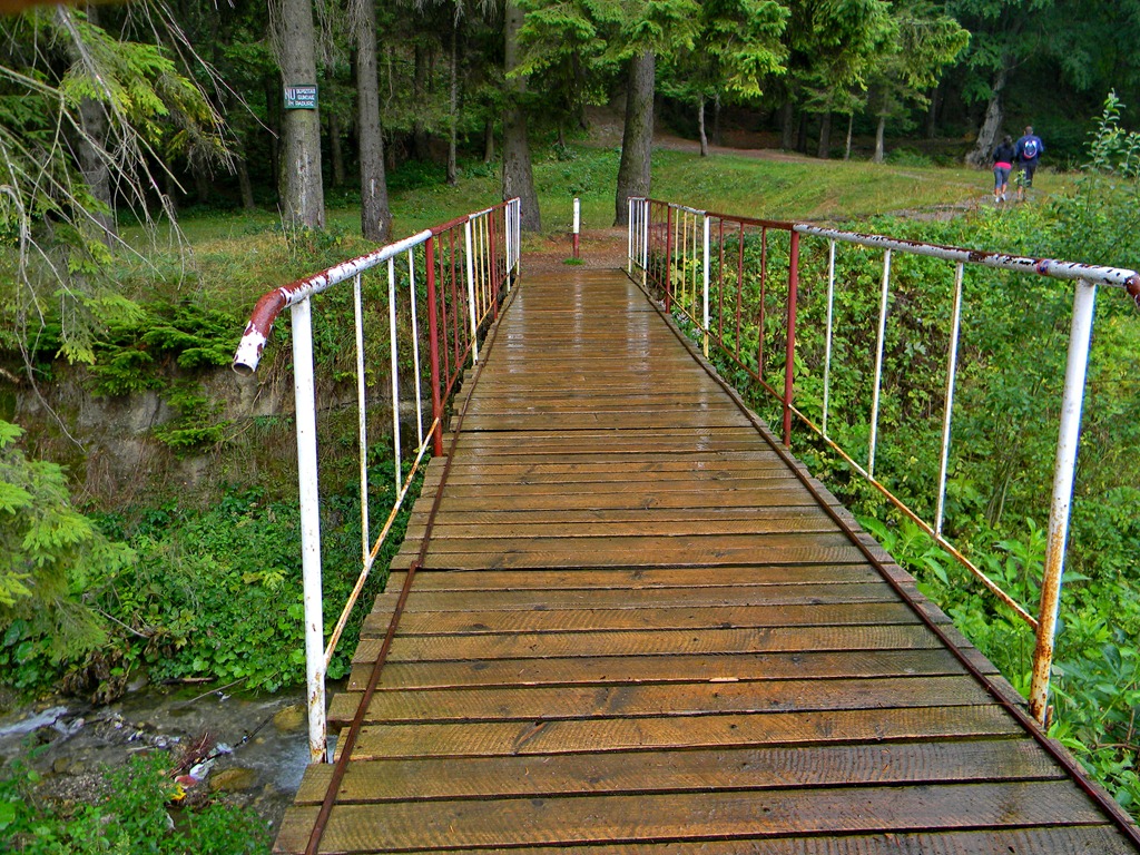 [DSCN43213.jpg]