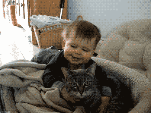 .gif