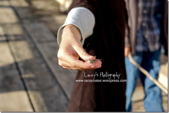 lacey's photography (4)