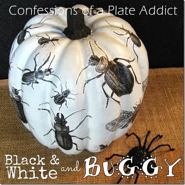 CONFESSIONS OF A PLATE ADDICT Decoupage Insect Pumpkin