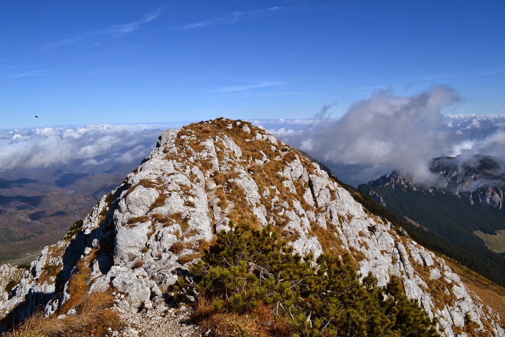 [DSC_59153.jpg]