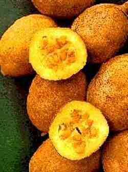 [image%255B54%255D.png]