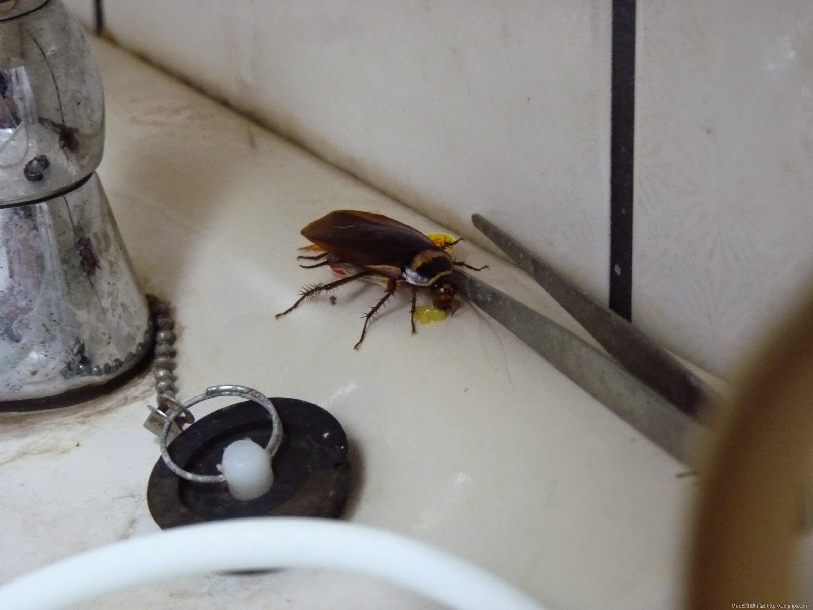 [P1070700%255B3%255D.jpg]