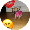 Image Google de Scarlette la Starlette